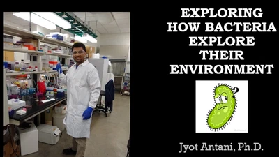 Research Presentation to Middle School Students featured image