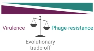 Illustration for: Outsmarting Bacterial Evolution in Phage Therapy
