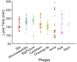 Illustration for: Rage Against the Mean: Perspective on measuring single-virus traits